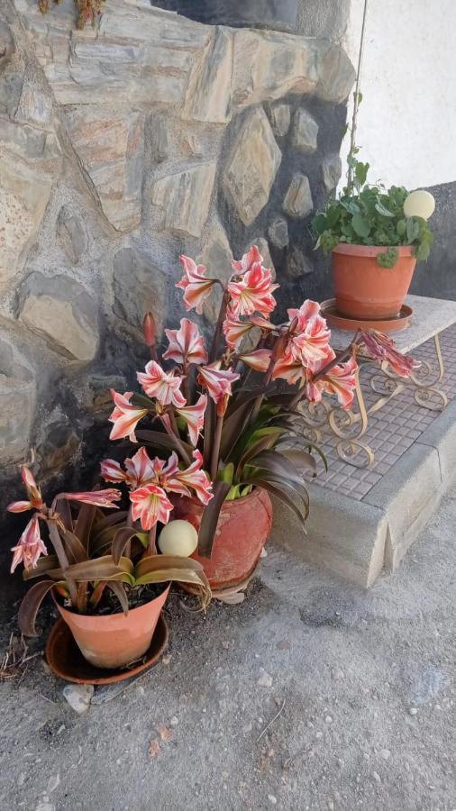 Cueva De La Abuela Villa Los Carriones ภายนอก รูปภาพ