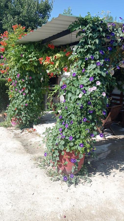 Cueva De La Abuela Villa Los Carriones ภายนอก รูปภาพ