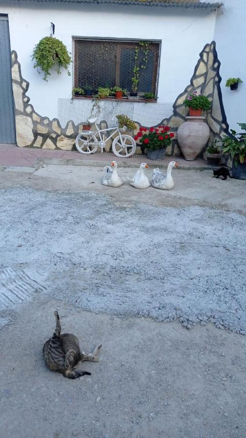 Cueva De La Abuela Villa Los Carriones ภายนอก รูปภาพ
