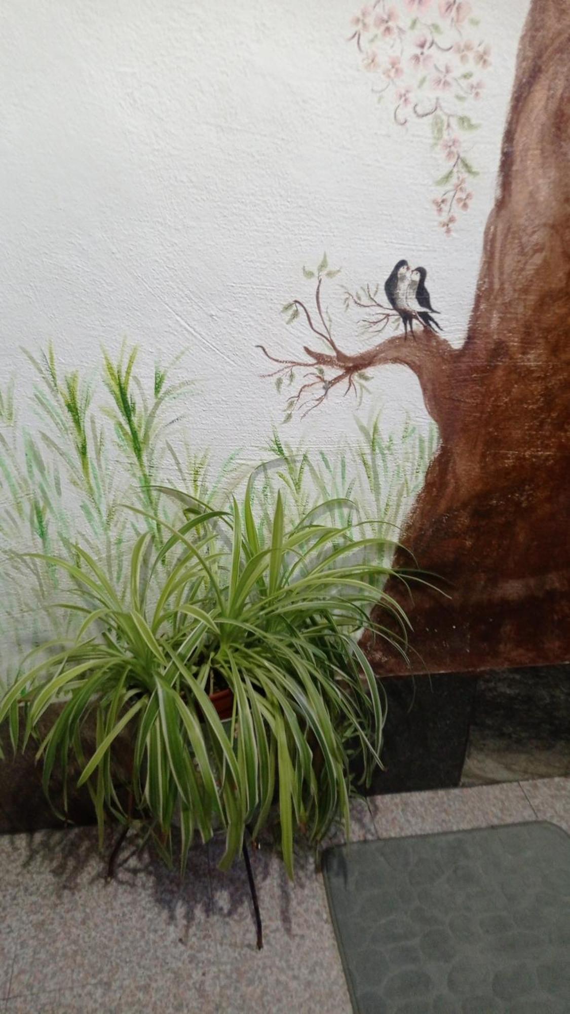Cueva De La Abuela Villa Los Carriones ภายนอก รูปภาพ